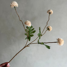 Afbeelding in Gallery-weergave laden, Pompom S blush/creme
