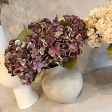 Afbeelding in Gallery-weergave laden, Hydrangea mauve 45cm
