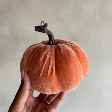 Afbeelding in Gallery-weergave laden, Pumpkin velvet Terra (p.st.)
