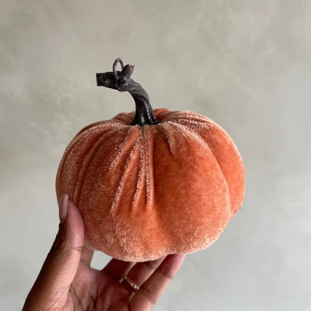 Pumpkin velvet Terra (p.st.)