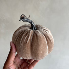 Afbeelding in Gallery-weergave laden, Pumpkin velvet taupe (p.st.)
