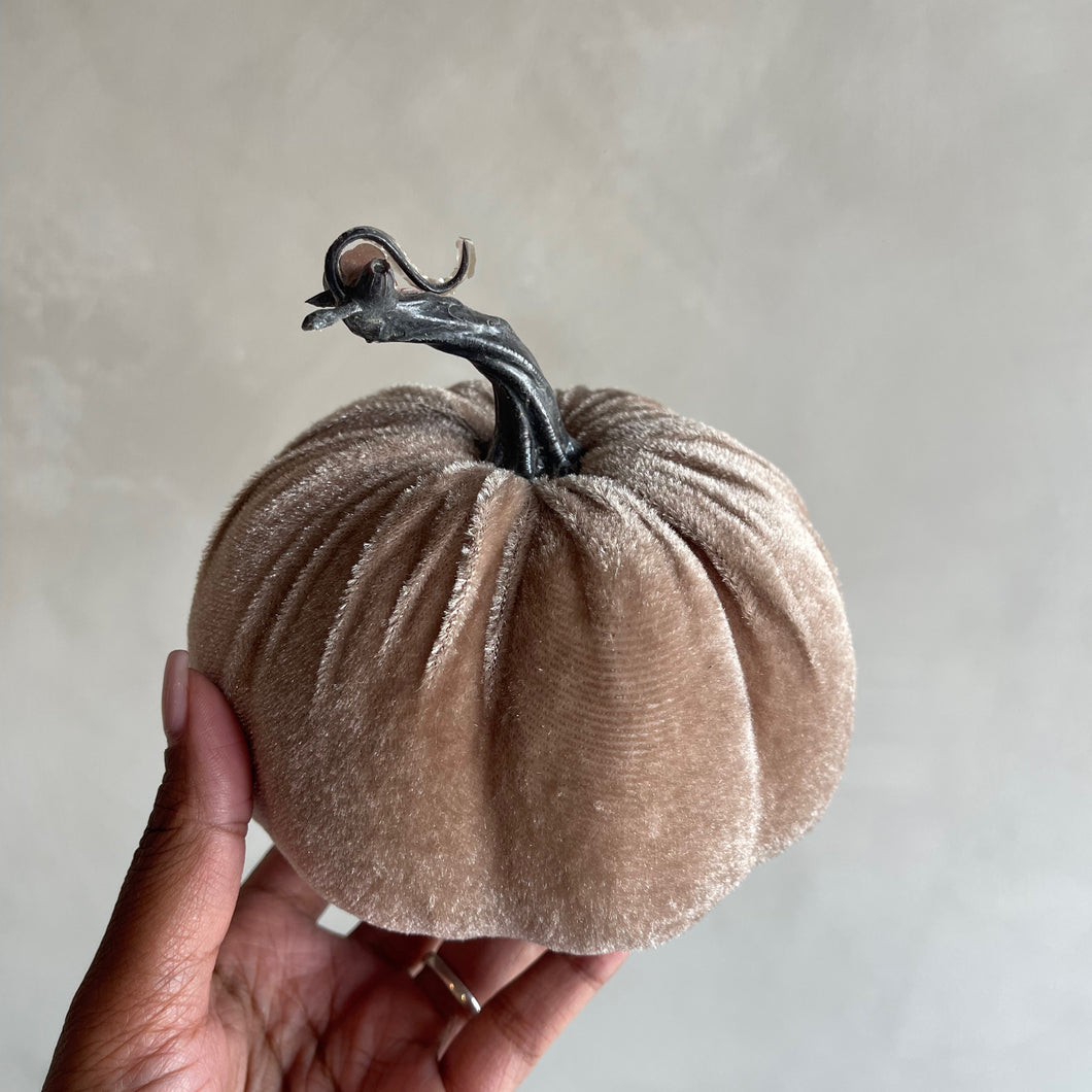 Pumpkin velvet taupe (p.st.)