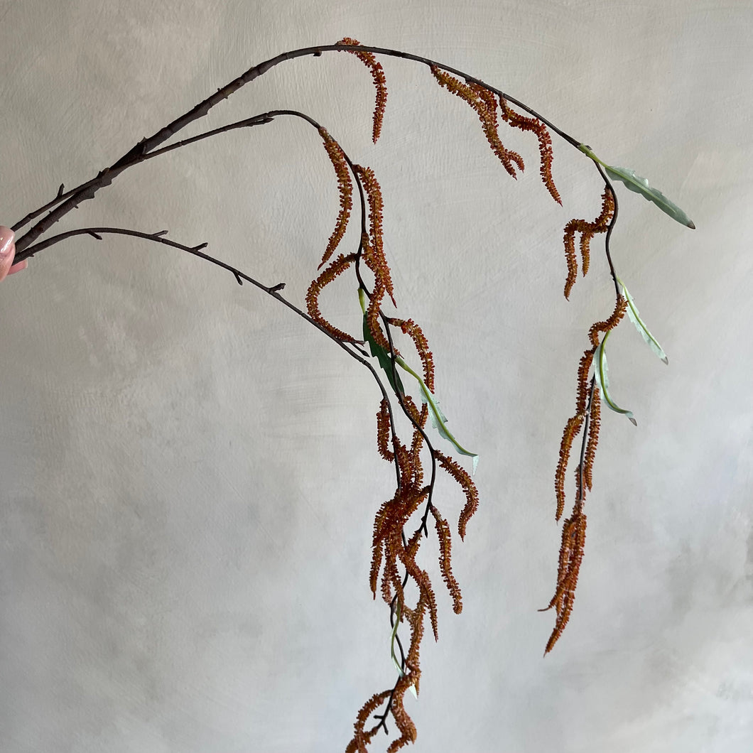 Flower mulberry terra