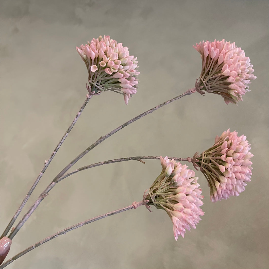 Flower honey soft pink