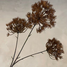 Afbeelding in Gallery-weergave laden, Flower Queen Anne’s spray 78cm
