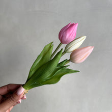Afbeelding in Gallery-weergave laden, Tulips 24cm (set3)
