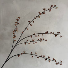 Afbeelding in Gallery-weergave laden, Flower callicarpa brown
