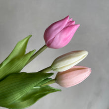 Afbeelding in Gallery-weergave laden, Tulips 24cm (set3)
