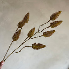 Afbeelding in Gallery-weergave laden, Flower celosie
