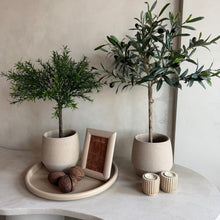 Afbeelding in Gallery-weergave laden, Pot Dean
