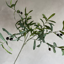 Afbeelding in Gallery-weergave laden, Leaf spray olive 80cm
