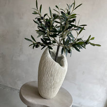 Afbeelding in Gallery-weergave laden, Olive tree 65cm
