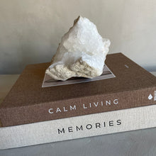 Afbeelding in Gallery-weergave laden, Rock crystal geode

