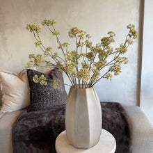 Afbeelding in Gallery-weergave laden, Flower Achillea
