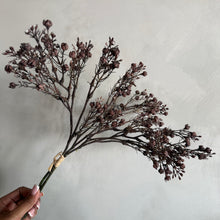 Afbeelding in Gallery-weergave laden, Flower gypsophila brown (set3)
