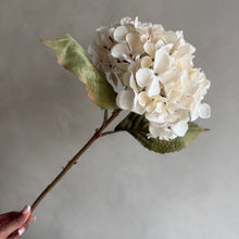 Afbeelding in Gallery-weergave laden, Hydrangea creme 45cm
