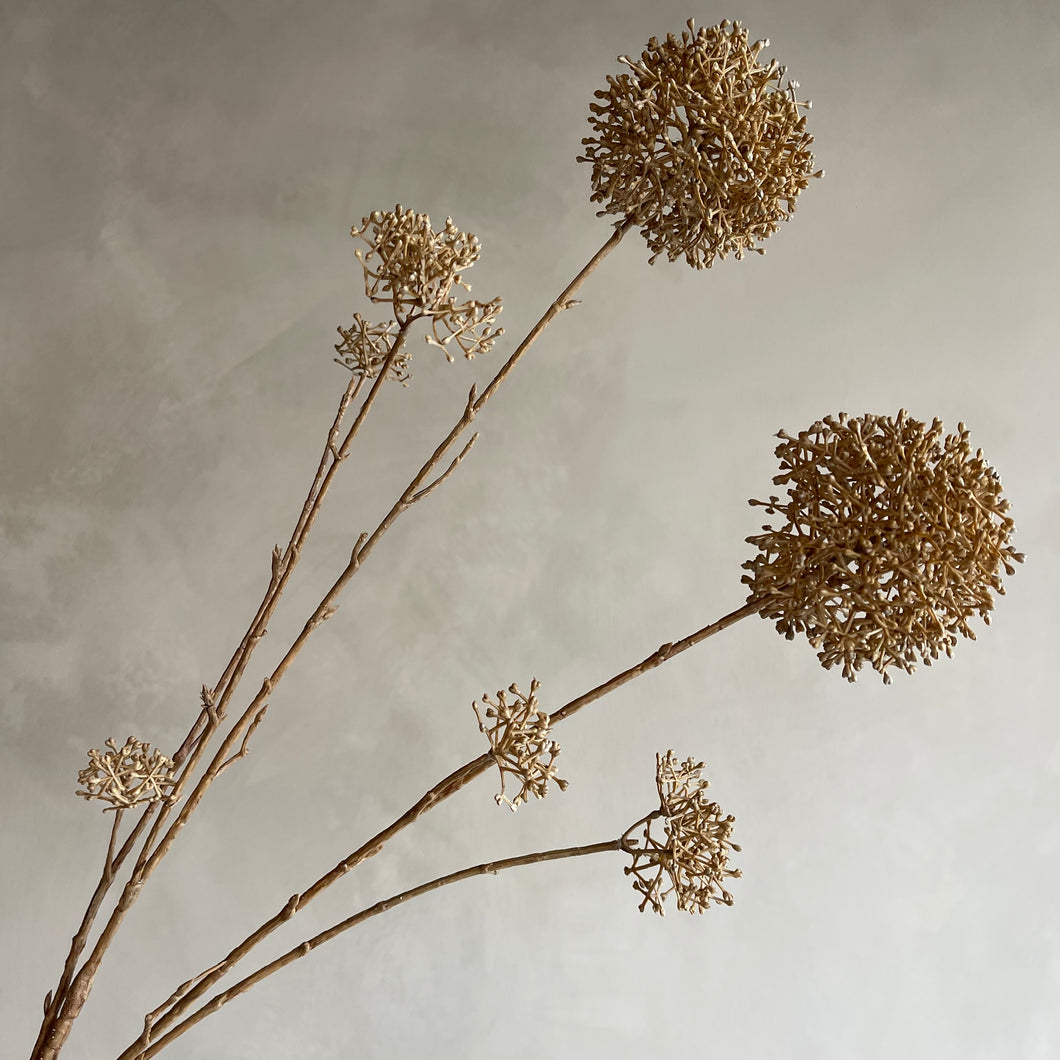 Flower Eupatorium beige