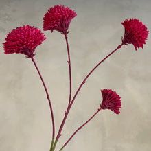 Afbeelding in Gallery-weergave laden, Flower honey fuchsia
