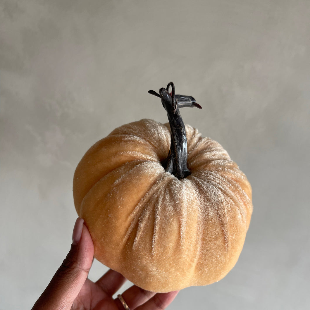 Pumpkin velvet yellow/sand (p.st.)