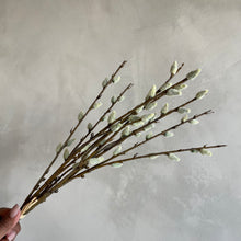 Afbeelding in Gallery-weergave laden, Willow branches (set3)

