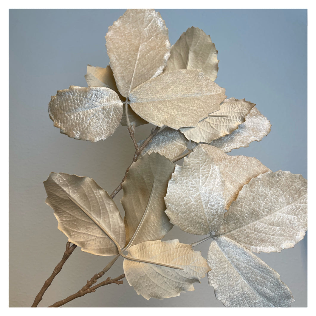 Velvet leaves beige (p.st.)