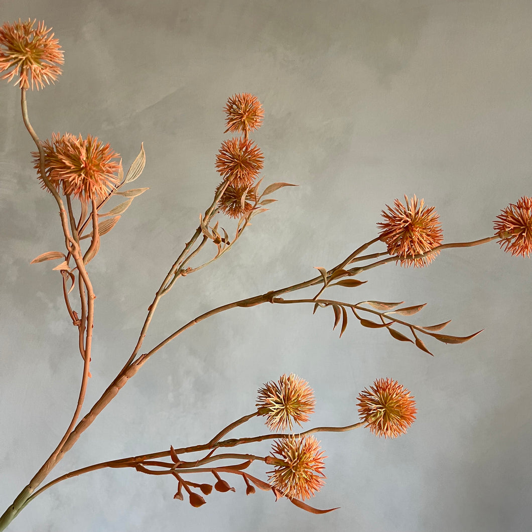Flower dandelion orange