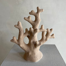 Afbeelding in Gallery-weergave laden, Coral sand
