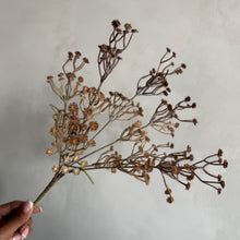 Afbeelding in Gallery-weergave laden, Flower Gypsophila beige
