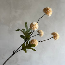 Afbeelding in Gallery-weergave laden, Pompom S creme
