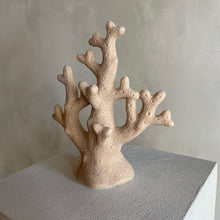 Afbeelding in Gallery-weergave laden, Coral sand

