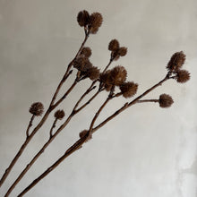 Afbeelding in Gallery-weergave laden, Flower ricinus (set3)
