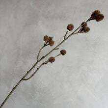 Afbeelding in Gallery-weergave laden, Flower bixa brown
