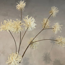 Afbeelding in Gallery-weergave laden, Flower chrysanthemum fluffy 123cm
