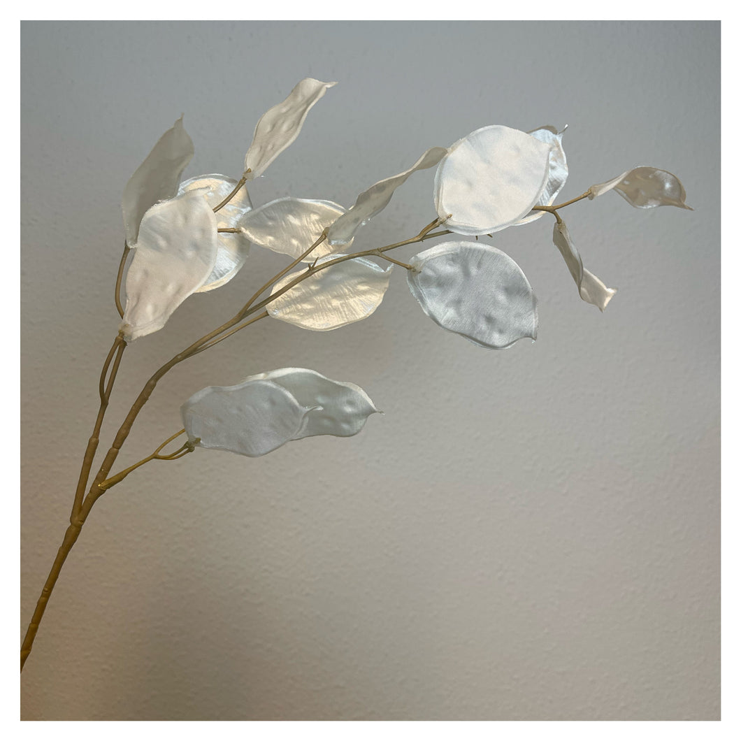 Lunaria silk white (p.st.)