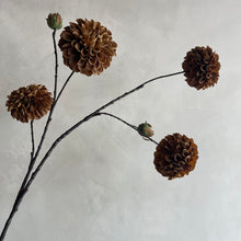 Afbeelding in Gallery-weergave laden, Pompom dahlia brown
