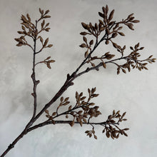 Afbeelding in Gallery-weergave laden, Flower wutong brown
