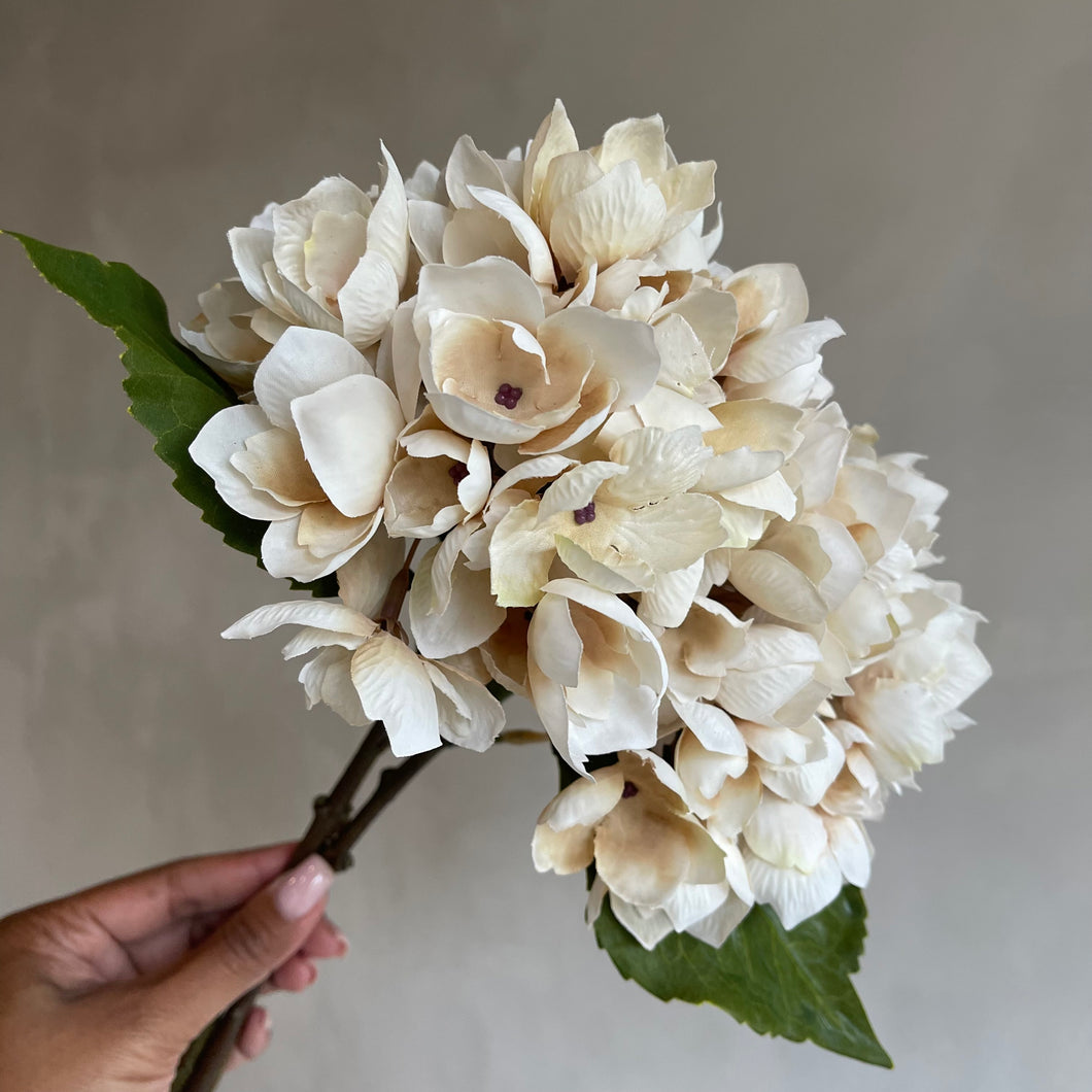 Hydrangea beige 35cm (set3)