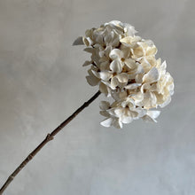 Afbeelding in Gallery-weergave laden, Hydrangea beige 68cm
