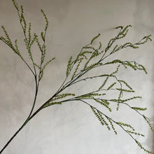Afbeelding in Gallery-weergave laden, Flower wild asparagus green
