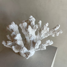 Afbeelding in Gallery-weergave laden, J-Line coral M

