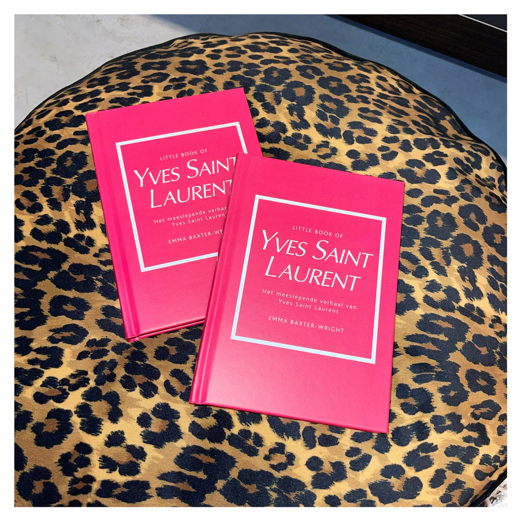 Little YSL book
